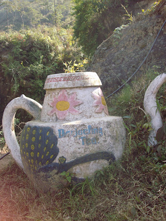 Obiective turistice India: ceaiul de dupa amiaza in Rock garden Darjeeling