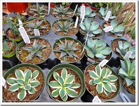 green acres elk grove pottery green acres elk grove pottery