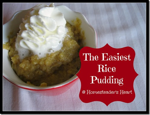 Crockpot Rice Pudding 2