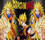 Dragonball 05