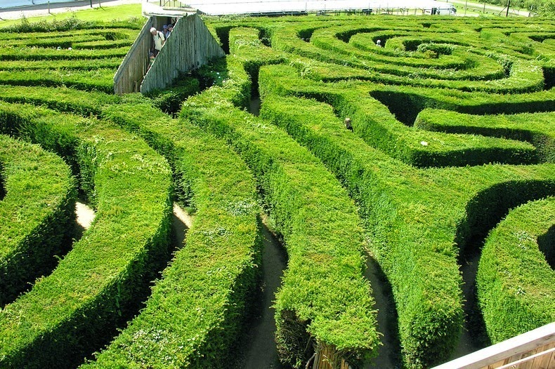 longleat-hedge-maze-5