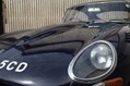 Jaguar-Coys-5