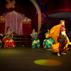 IMG_9236.jpg