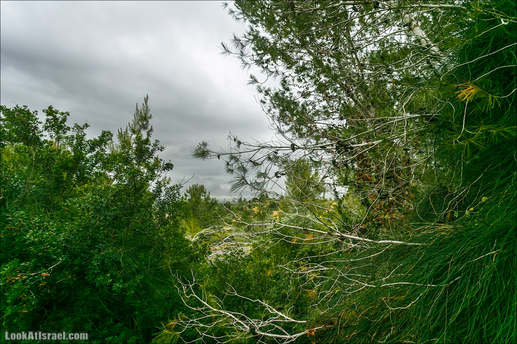 Неот Кдумим - Заповедник библейской природы | נאות קדומים