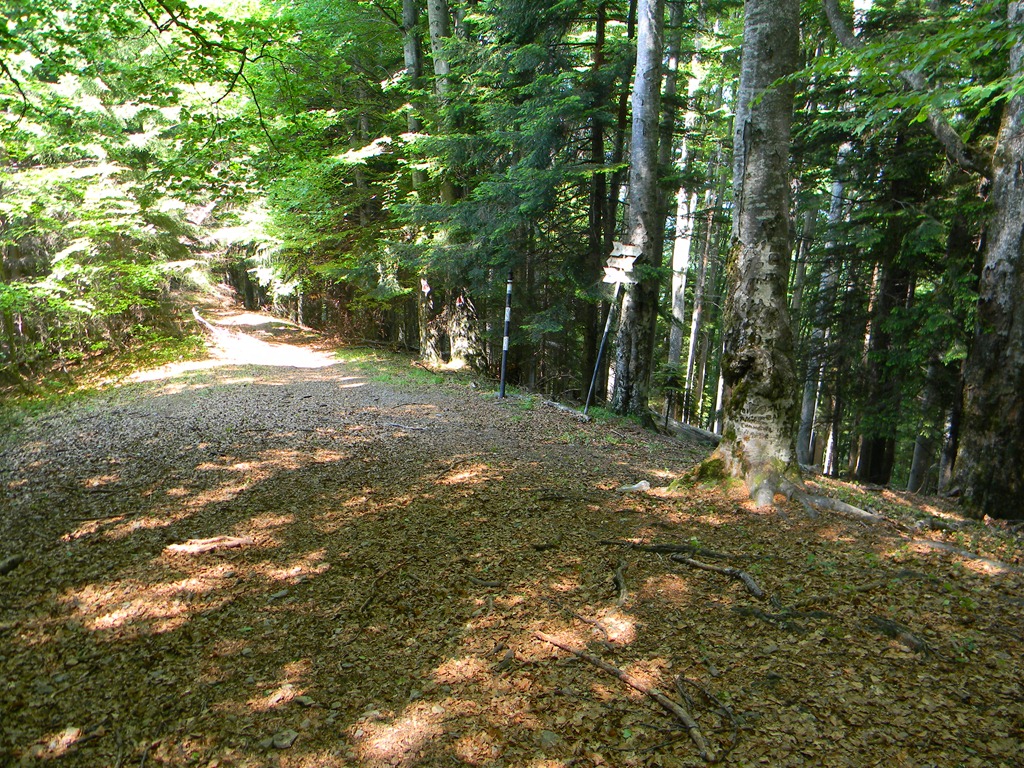 [DSCN15603.jpg]