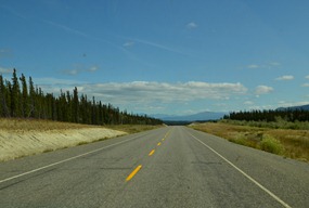 through the elk reserve on Alaska 1 in the Yukon.  Seems hot and dry at 65 degrees F