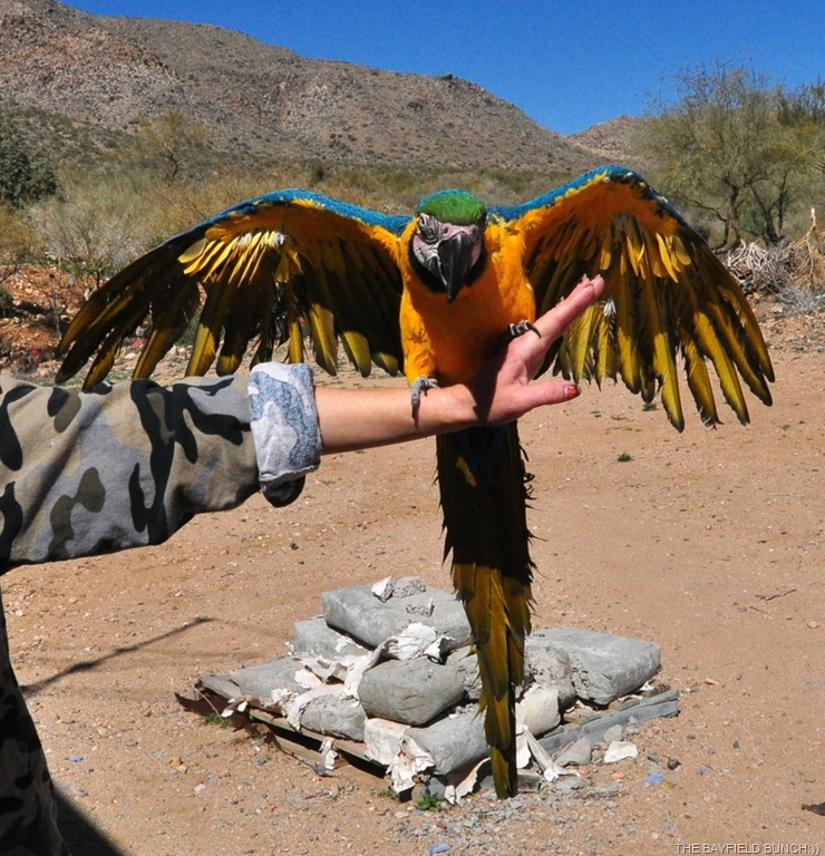 [DSC_0023%255B4%255D.jpg]