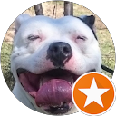 Image Google de milky bully