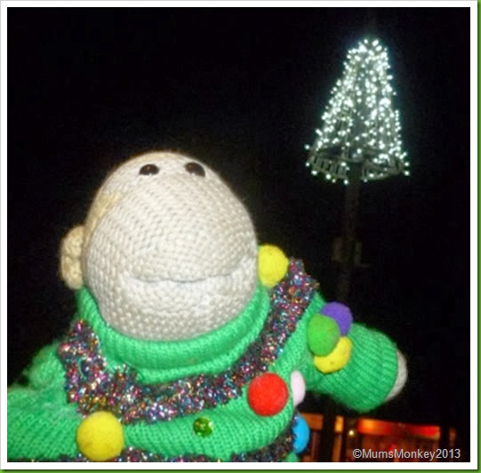 Christmas lights in Bilbrook