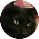 Juana Holtz profile picture