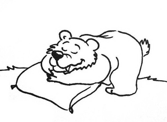 DIBUJOS DE OSOS PEREZOSOS PARA COLOREAR
