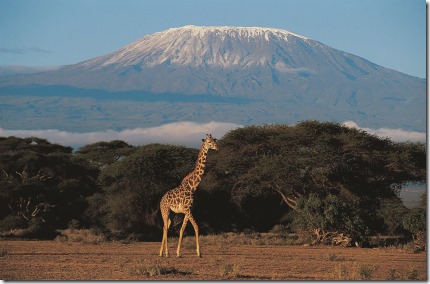Kilimanjaro Trek