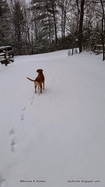 [20150224_074719%255B3%255D.jpg]