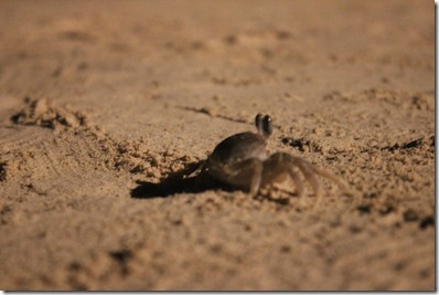 IMG_0959 IMG_0959