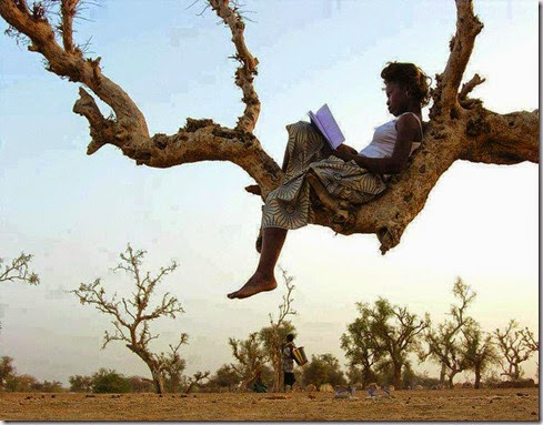 african woman reading on a tree