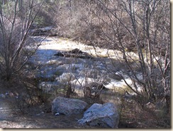 IMG_3224-Creek at Forrest Service campground