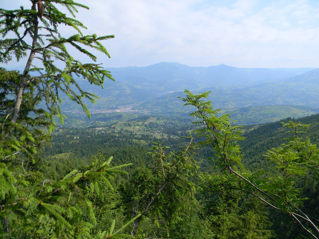 [DSCN76593.jpg]