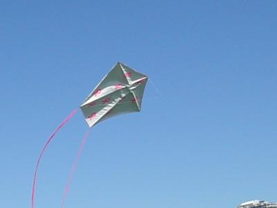 [a-form-three-stick-kite-made-with-ty%255B2%255D.jpg]