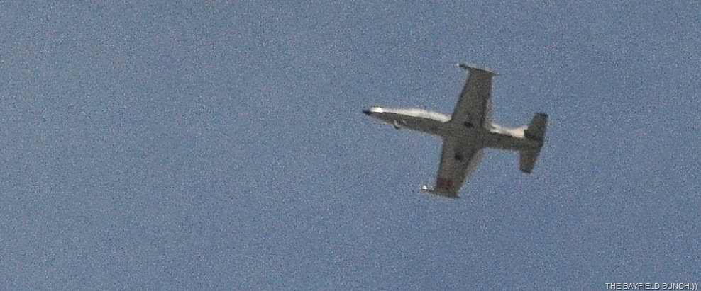 [DSC_0004%255B8%255D.jpg]