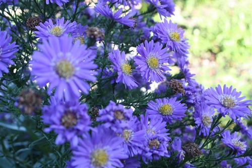 20101013.jpg (3) (Small)