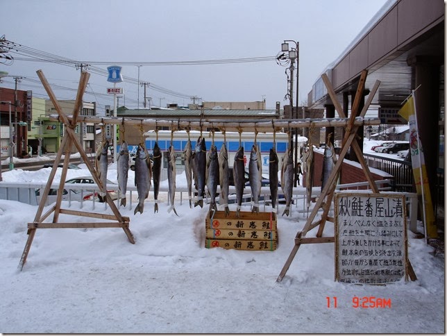 網走車站外的展示：鮭魚