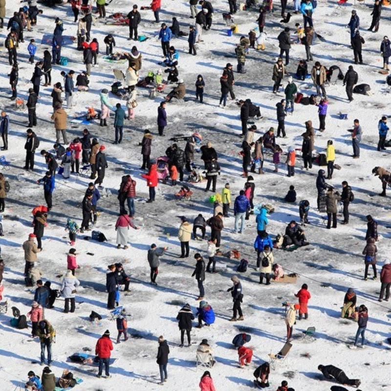 Mass Fishing at Hwacheon Sancheoneo Ice Festival in South Korea