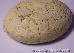 sprouted-einkorn-bread 013