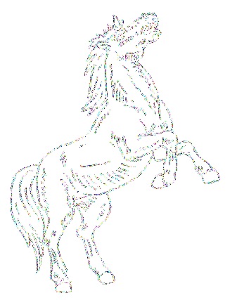 caballos%252520%25252820%252529_thumb