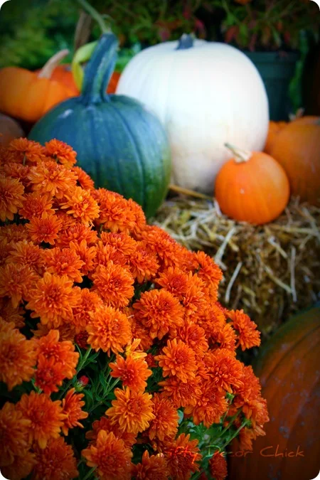 fall display with hay and pumpkins