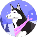 flisser 44s profile picture