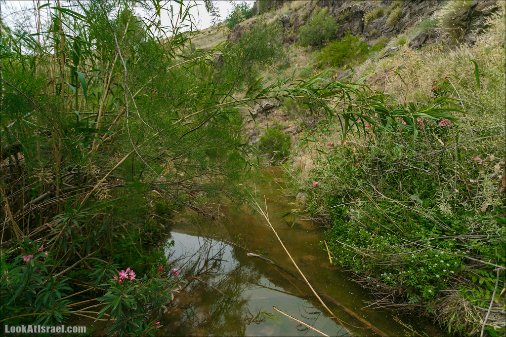 LookAtIsrael.com: Фото-блог о путешествиях по Израилю. Тель Авив, Иерусалим, Хайфа 