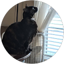 Kat ch