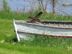 2013-06-17 Hecla Island - 068