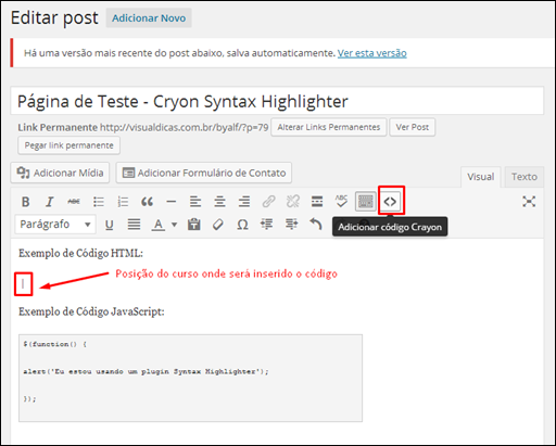 Plugin Syntax Highlighter para o WordPress - Visual Dicas
