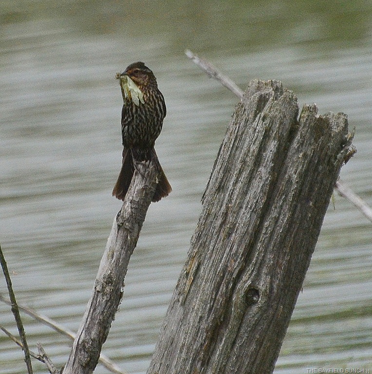 [DSC_0027%255B3%255D.jpg]