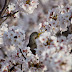DA 55-300mm F4-5.8ED