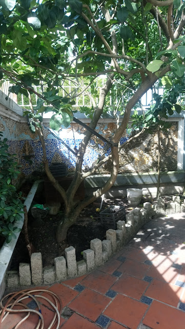 Biệt thự View công viên khu dân cư văn minh Quận 9 - 06 Biệt thự View công viên khu dân cư văn minh Quận 9 - 06