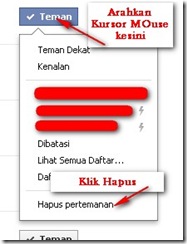 Hapus_Teman_Facebook_2011