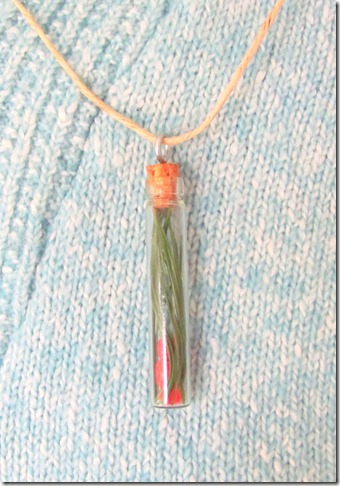 Little bottle necklace 2
