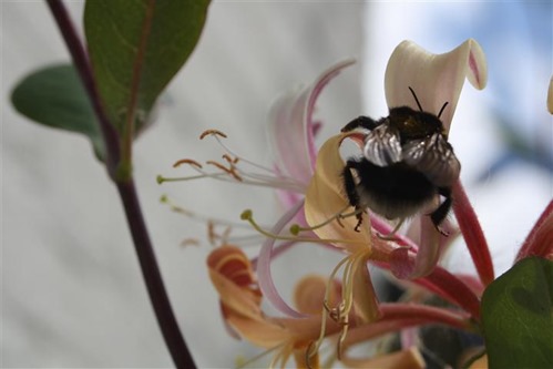 20100625 (4) (Small)