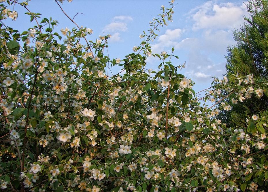 [DSCF3212_re%255B2%255D.jpg]