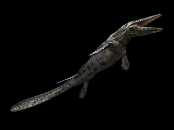 tylosaurus