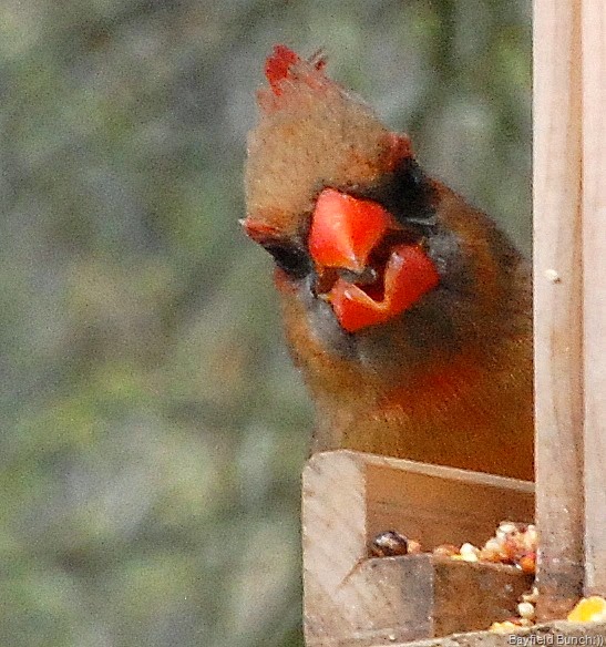 [DSC_3598%255B4%255D.jpg]