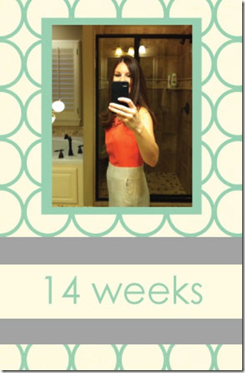 14-weeks