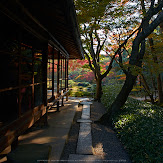 依水園,紅葉(PK3_0589,F9,16mm,K-3)2014yaotomi_.jpg
