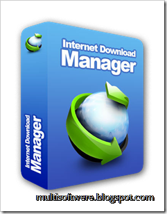 idm 6.17 build 8