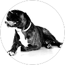 Image Google de vansimaey juliette