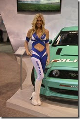 Hot Girls in The SEMA Show Pictures (7)
