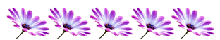 f4tov9rr.png