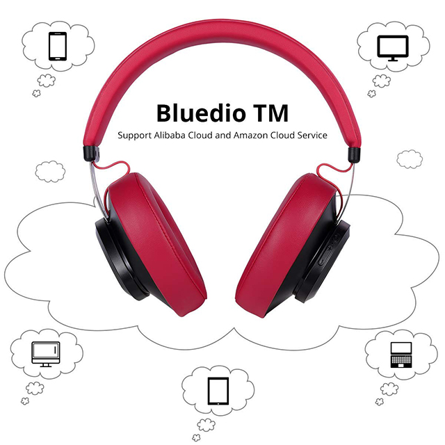 Bluedio TM